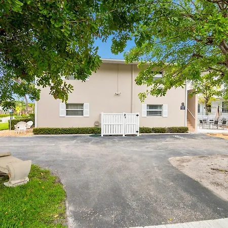 Downtown Starfish 807-2